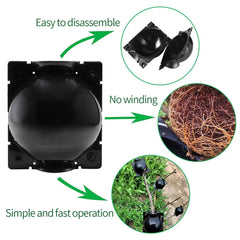 Plant Root Growing Box