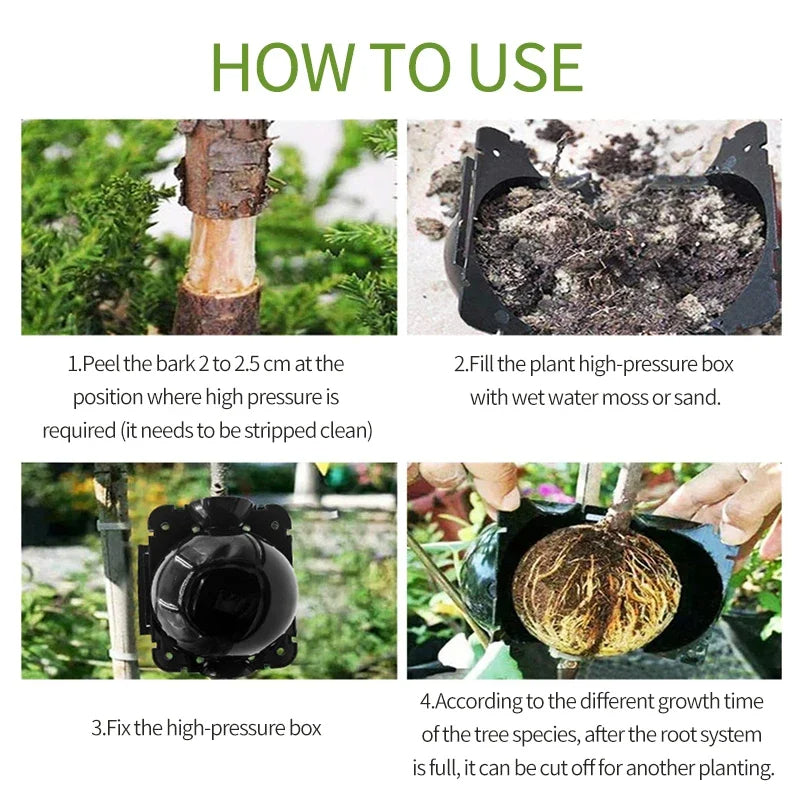 Plant Root Growing Box