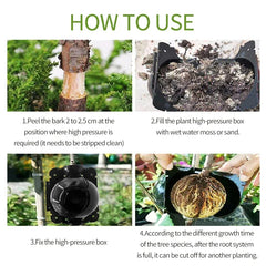 Plant Root Growing Box
