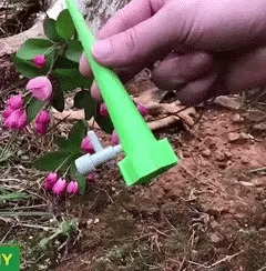 Automatic plant water dripping spikes (Pack Of 3)
