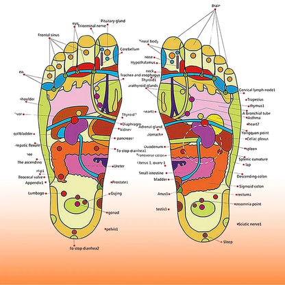 Foot Massager Slippers For Men & Women 🦶